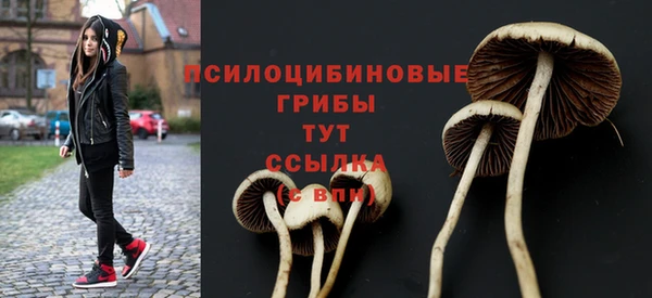 прущие грибы Арсеньев