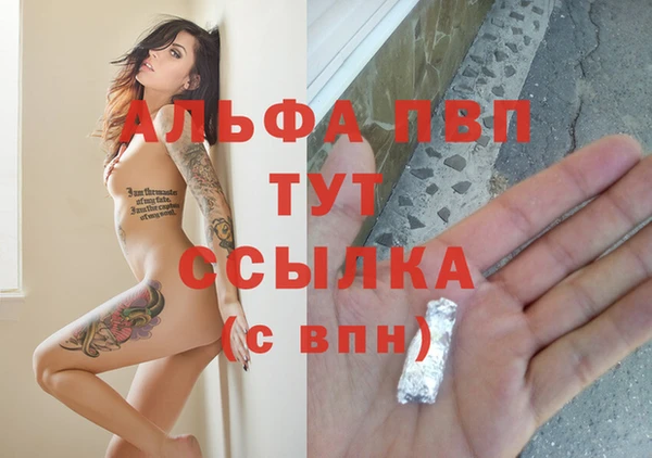 прущие грибы Арсеньев