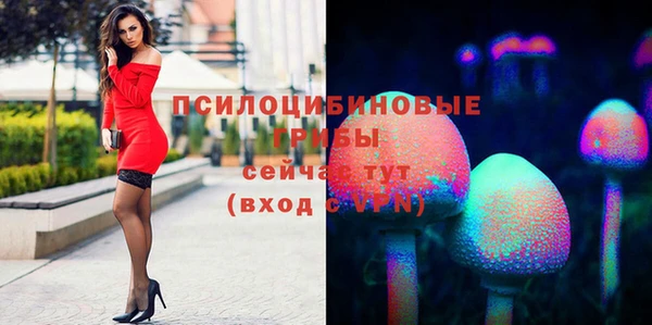 прущие грибы Арсеньев
